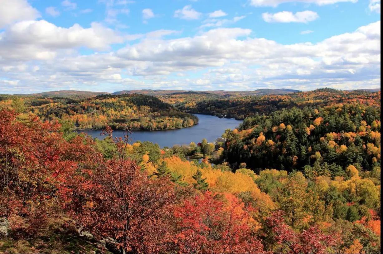Nature Eco Suite In Wakefield Quebec Dış mekan fotoğraf